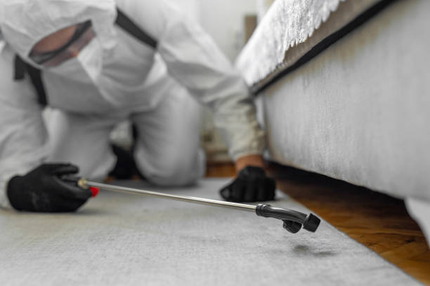 Professional Termite Control technician working in Clarkton, MO